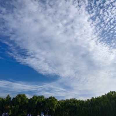 妖怪百鬼夜行官方手游下载